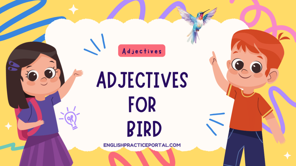Adjectives for Bird