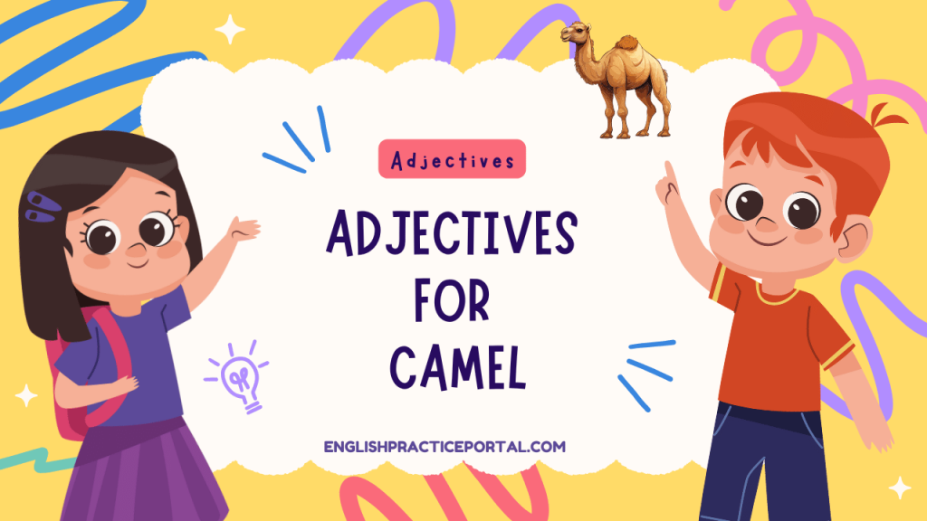 Adjectives for Camel