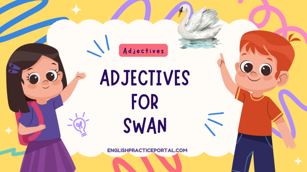 Adjectives for Swan