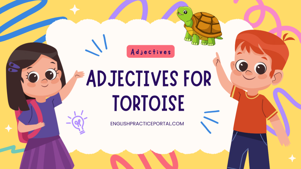 Adjectives for Tortoise
